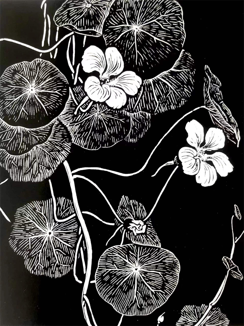 《花卉系列32》25×30cm 木刻 1975年