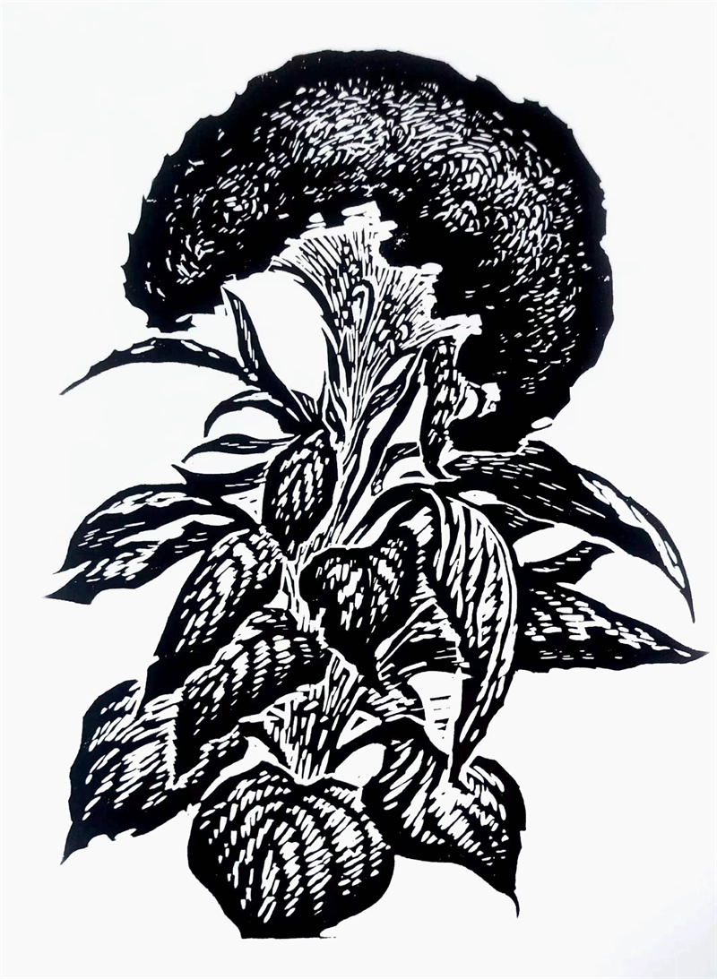 《花卉系列11》25×30cm 木刻 1975年