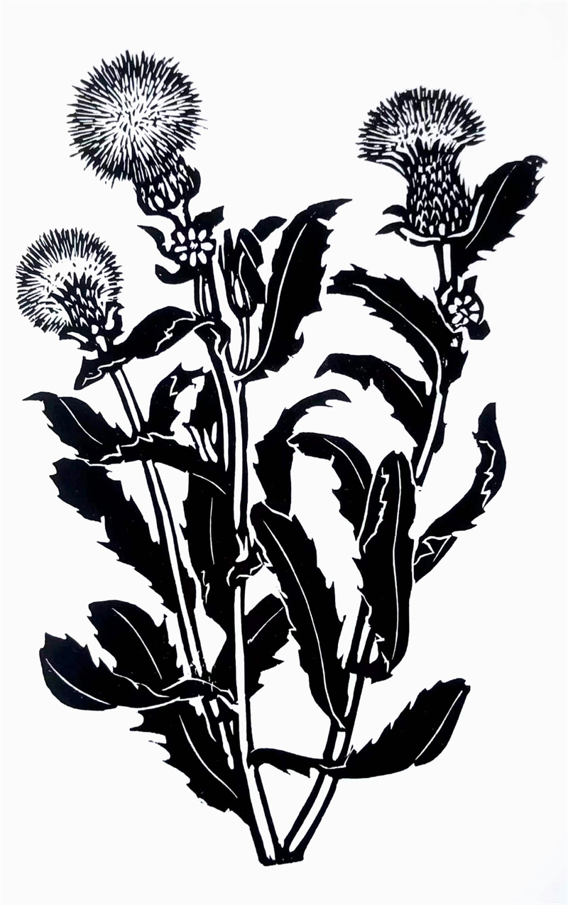 《花卉系列22》25×30cm 木刻 1975年