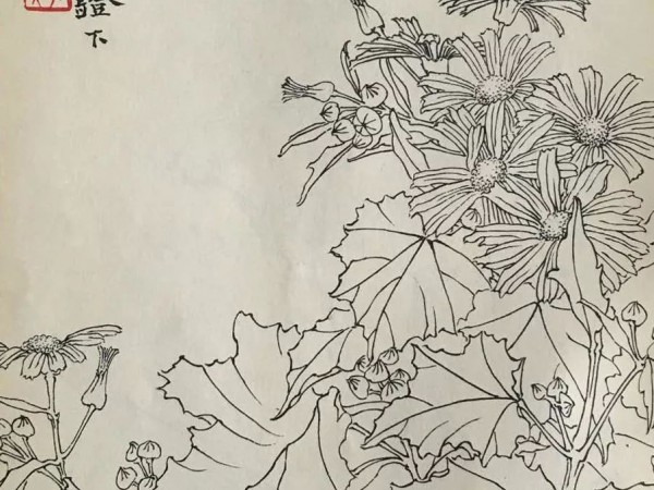 中国美协会员姜毅然花鸟作品
