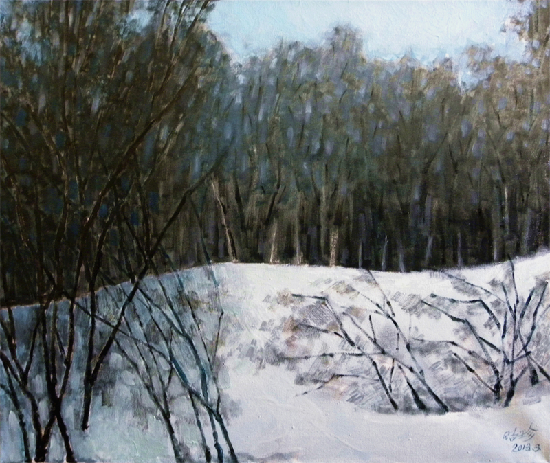 22《雪霁》65×50cm