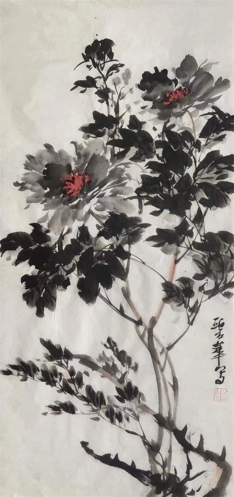 《洛阳花》