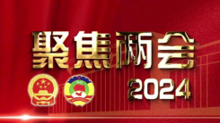 2024聚焦全国两会｜重点推荐画家周平