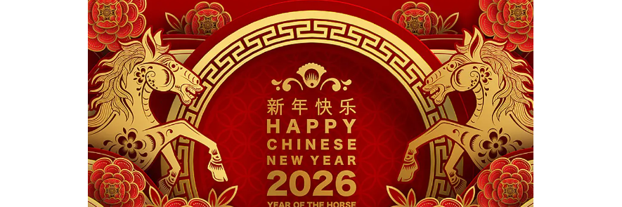 2026庆元旦·迎新年——中国当代名家张金荣作品选