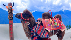 2026策马迎新‖福至运来——著名画家穆春华作品鉴赏