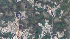 笔墨聚焦两会·艺术献礼人民——2026重点推荐艺术名家周平